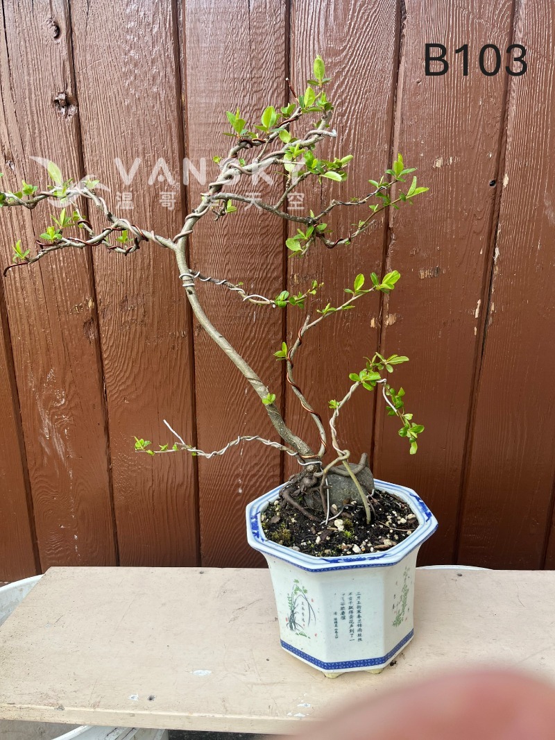 260224235134_B103 15 - 25-04.JPG